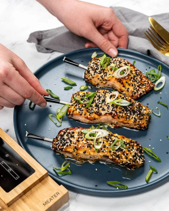 Smart Meat Thermometer Block: 4-Probe, Black, MEATER