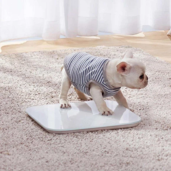 Smart Scale - White — Smart Light Bulb, Xiaomi