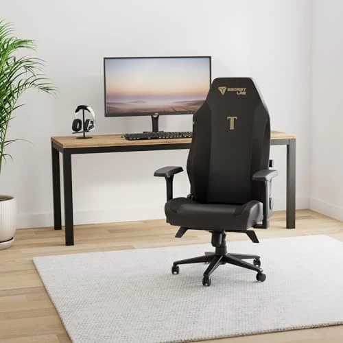 Gaming Chair - Reclining, Ergonomic & Heavy Duty Computer Chair with 4D Armrest, Magnetic Head Pillow & Lumbar Support -... — Smart Chairs, Secretlab