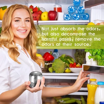 10-Year Refrigerator Deodorizer with CH-cut Technology, Toprain