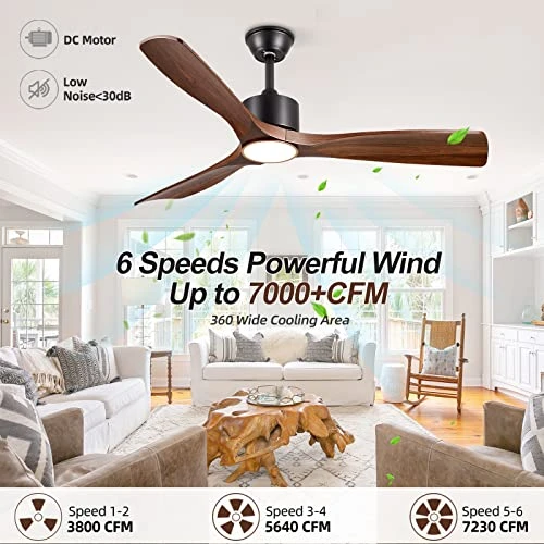 Smart Ceiling Fan with Light — Smart Fan, BOOSANT