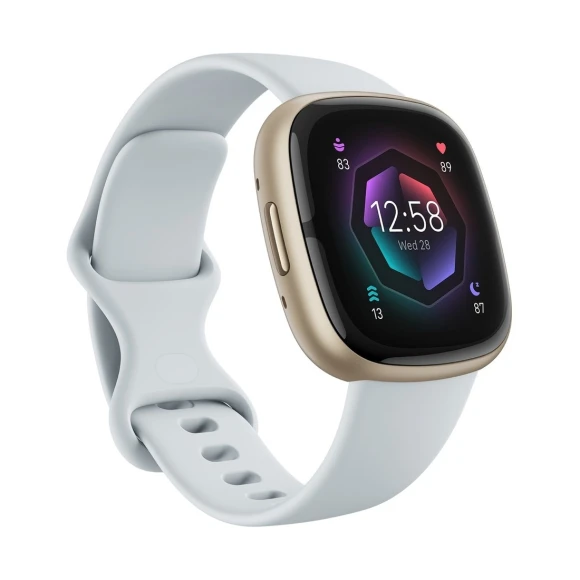 Advanced Health and Fitness Smartwatch — Smart Watch, Fitbit