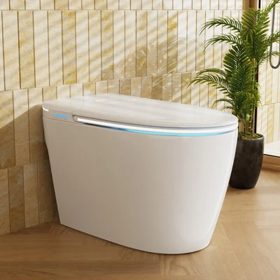 Smart Toilet with Heated Bidet and Dryer, TDH