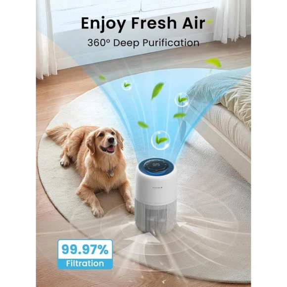Air Purifier for Home Pets & Bedroom — Air Purifier, Provirtec