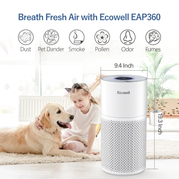 Large Room Air Purifier with Air Quality Sensor — Air Purifier, ECOWELL