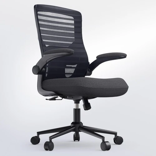 Office Desk Chair for Long Hours & Lower Back Pain Relief — Smart Chairs, QLTPLUS