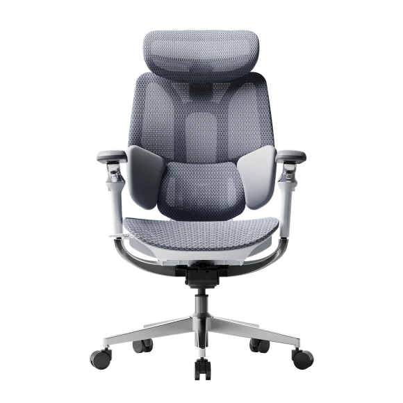 Ergonomic Office Chair with Dynamic Lumbar Support and Adjustable Headrest — Smart Chairs, Hbada