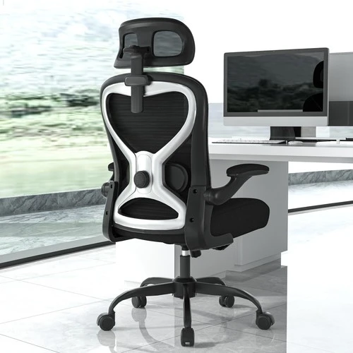 Ergonomic Office Chair with Headrest and Lumbar Support — Smart Chairs, CASASIO