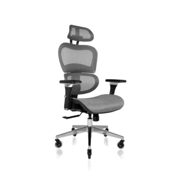 Ergonomic Office Chair with Lumbar Support, Adjustable Armrests, and Headrest — Smart Chairs, Nouhaus