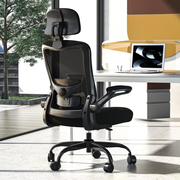 Ergonomic Office Chair — Smart Chairs, Zeonsit