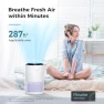 Thumbnail Air Purifier for Bedroom Home — Air Purifier, AROEVE