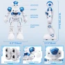 Thumbnail Gesture Sensing Programmable Rechargeable Remote Control Robot, SGILE