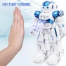 Thumbnail Gesture Sensing Programmable Rechargeable Remote Control Robot, SGILE