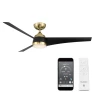 Thumbnail Outdoor Ceiling Fan with Lights and Remote Control — Smart Fan, WAC Lighting