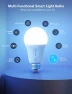 Thumbnail LED Smart Light Bulbs — Smart Light Bulb, Govee