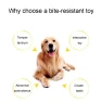 Thumbnail Knot Pet Bite Resistant Teeth Cleaning Toy