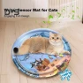 Interactive Water Sensor Play Mat for Cats — Cat Water Fountain, Kitty Cat House