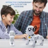 Radio-controlled robot dog — Robot Pet, Play with You