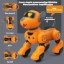 Programmable Robotic Dog — Robot Pet, Vogue Wardrobe