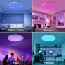 Thumbnail Smart Ceiling Light with Remote Control — Smart Light Bulb, HENTAG