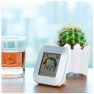 Indoor Thermometer Humidity Monitor — Air Quality Monitor