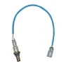 Oxygen sensor, Tesla Car parts
