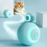 Electronic Interactive Cat Ball — Automatic Cat Toy, YDM Beauty Life