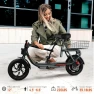 Thumbnail Electric Scooter with Seat — Electric Scooter, SISIGAD