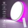 Thumbnail RGB Smart Ceiling Light — Smart Light Bulb, HENTAG