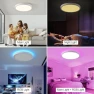 Thumbnail RGB Smart Ceiling Light — Smart Light Bulb, HENTAG
