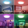Thumbnail RGB Smart Ceiling Light — Smart Light Bulb, HENTAG