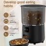 Automatic Pet Feeder — Automatic Pet Feeder, Pets Land