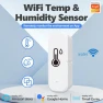 Temperature and Humidity Sensor — Mold Detector, TrendVibeCN
