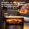 Thumbnail Flame Air Diffuser Humidifier, TMEHM