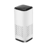 Compact Air Purifier with Negative Ions — Air Purifier, Warm Land