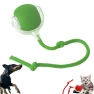 Fast Rolling Electric Ball for Pets — Automatic Cat Toy, Longlish