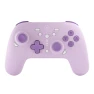 Wireless Pro Controller, Pnvruy