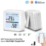 WiFi Thermometer Hygrometer, Neoglint
