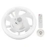 LED Ceiling Fan with Adjustable Brightness, ZuiyouPet1