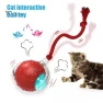 Interactive Cat Toy with Rolling Ball — Automatic Cat Toy, Pet park