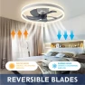Modern Ceiling Fan with Light, Home Textile Home Decoration