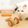 Interactive Cat Toy — Automatic Cat Toy, All in Watch