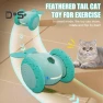 Interactive Cat Toy, Kitty Cat House