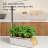 Hydroponic Growing System, RUI RUI YU 6
