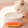 Rechargeable Heated Cat Bowl, Darling Women Boutique D