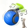 Interactive Cat Ball Toy with Feather, Pet Products My