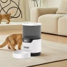Automatic Cat Feeder, Pet Doggy