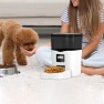 Automatic Pet Feeder, Pet Doggy