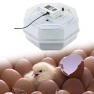 Smart Automatic Egg Incubator, Colorful summer