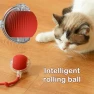 Automatic Electric Rolling Ball Cat Toy, Wotypea